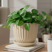 Керамічні вазони